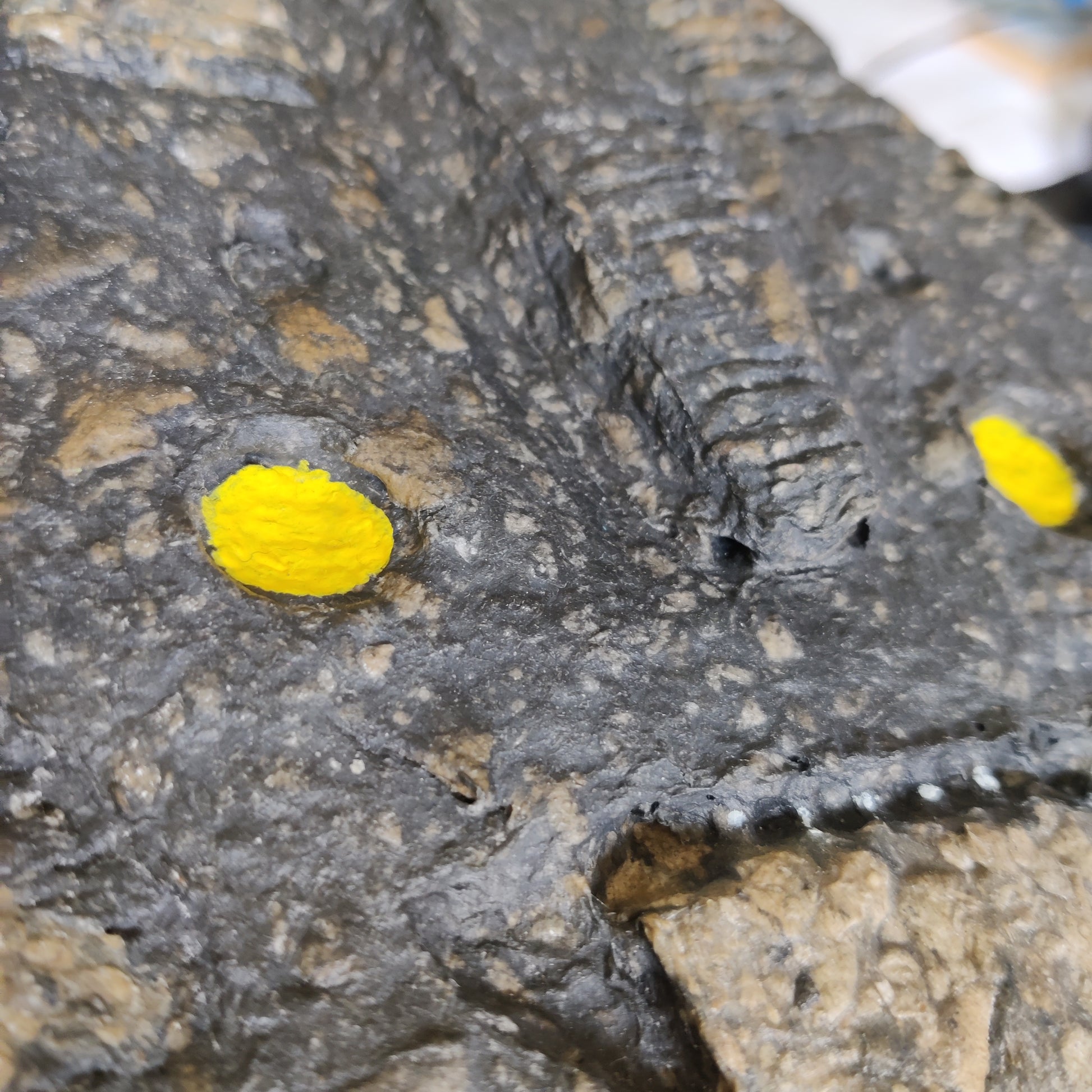 Yellow eyes Mask - HiPosterShop