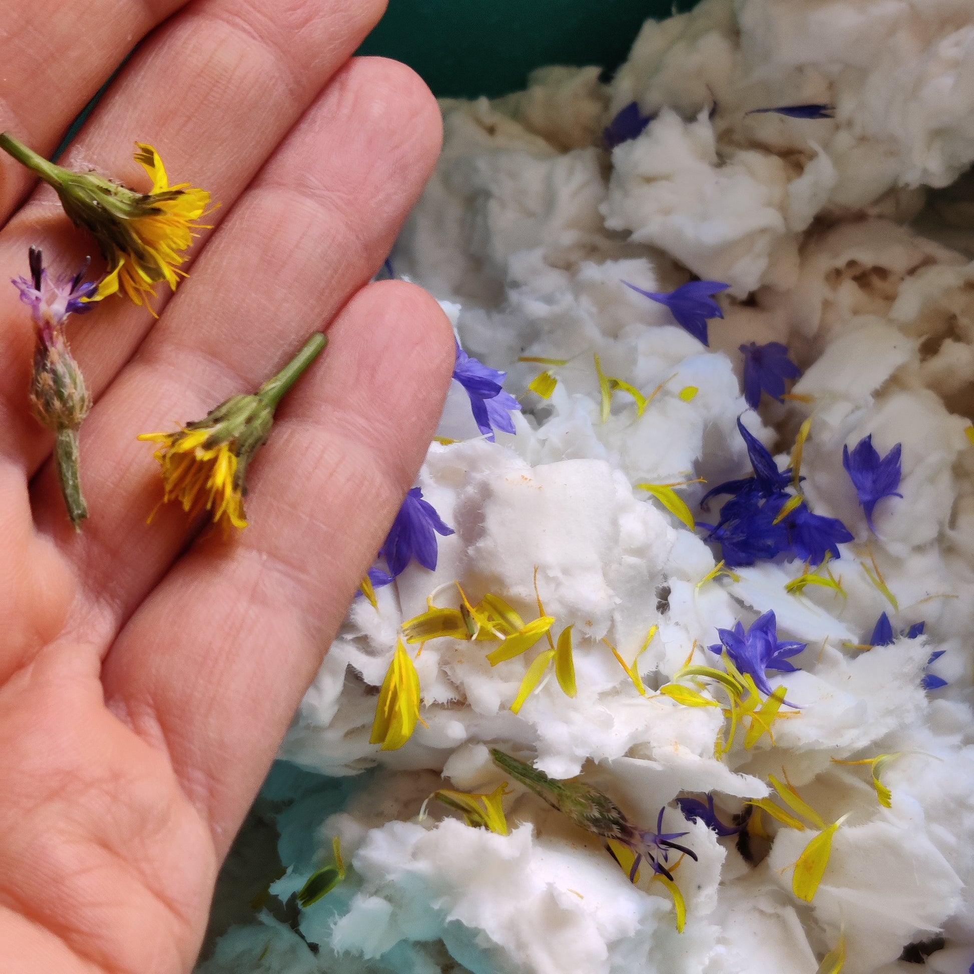 Hand holding small yellow flowers above a pile of white material with blue and yellow flowers.